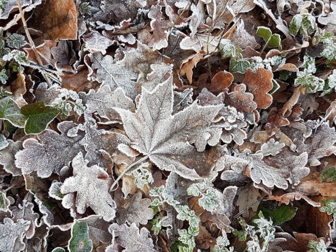 Feast Your Eyes With These Winter Wallpapers