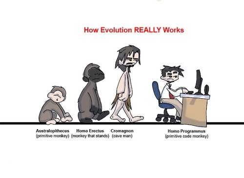 This is How Evolution Takes Place