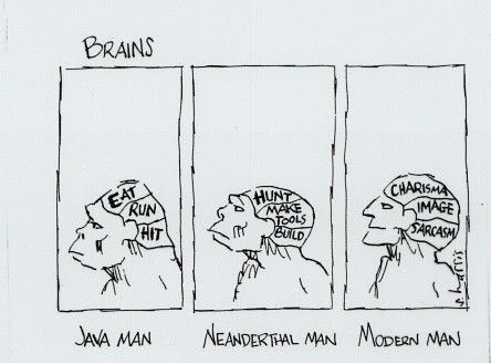 This is How Evolution Takes Place